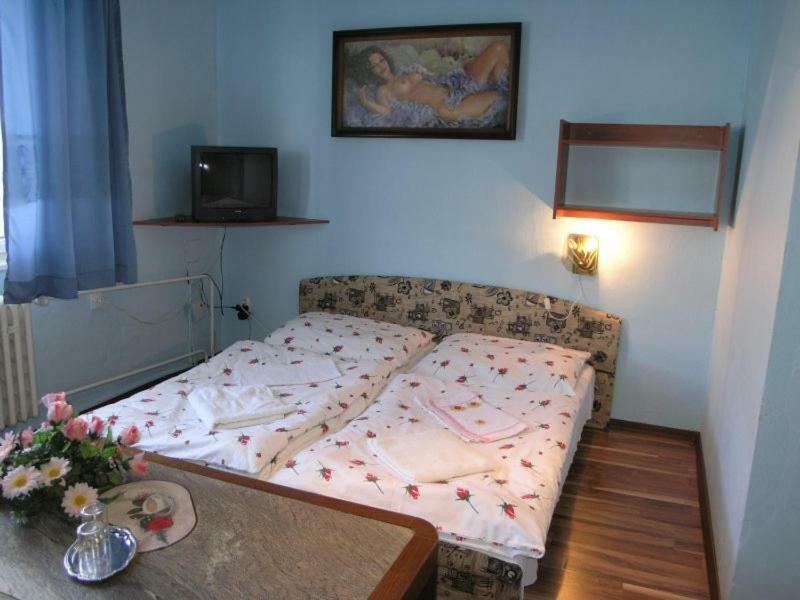 Hotel Biela Labut Michalovce Exteriér fotografie